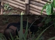 Warga Desa Mangon Meninggal Di Kebun, Ini Penjelasannya