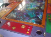 Meja Game Ketangkasan 303 Liar, Milik Tarigan Kandis Diduga Dilindungi APH