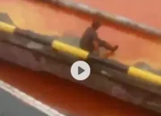 Akankah Mendapatkan Sangsi Terkait Tumpahnya Cpo Di Laut Dermaga PT. Maridan, Gakum LHK Harus Bertindak