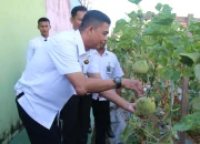 Lapas Pekanbaru Panen Raya Melon,ini Menjadi Bukti Komitmen Dukung Ketahanan Pangan