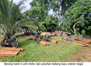 Gakkum Kehutanan Sumatera Amankan 6 Motor Muatan Kayu ILEGAL di Kawasan Taman Nasional Bukit Tiga Puluh