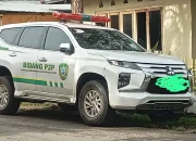 Ambulans Pusling Pajero Sport Diduga Dikuasai Dinkes, Aktivis Desak Bupati Copot Kapus Kabau