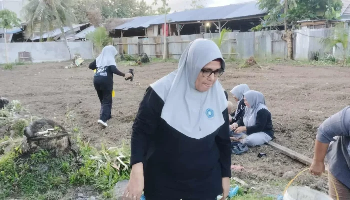 PKK Sula Dorong Swasembada Pangan Lewat Program Nasional Ketapang Mas