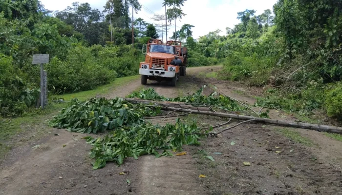 Jejak Lama di Balik Nama Baru: Dugaan Penebangan Ilegal Guncang Mangoli Tengah