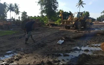 Investigasi Wailoba: Jejak Perusahan Bayangan di Balik Amarah Warga Dan Kayu Sengketa