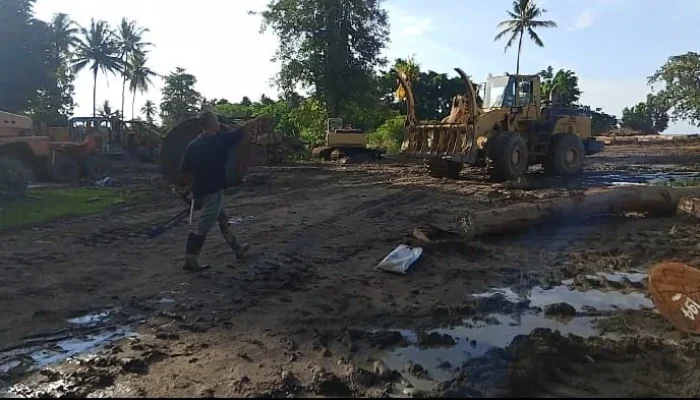Investigasi Wailoba: Jejak Perusahan Bayangan di Balik Amarah Warga Dan Kayu Sengketa