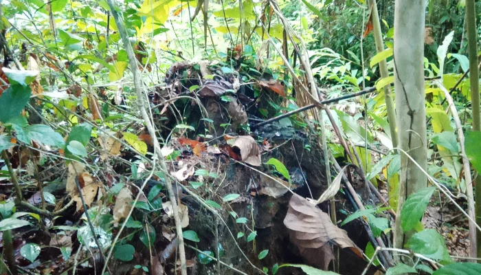 Jawal Fokaaya Diduga Enggan Temui Warga Wailoba Karena Belum Tepati Janji Reboisasi dan Pembayaran Fee