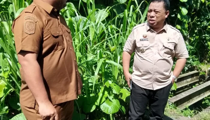 Bupati Halut Turun Tangan! Jembatan Ake WKO Rusak Total, Perbaikan Dimulai Cepat