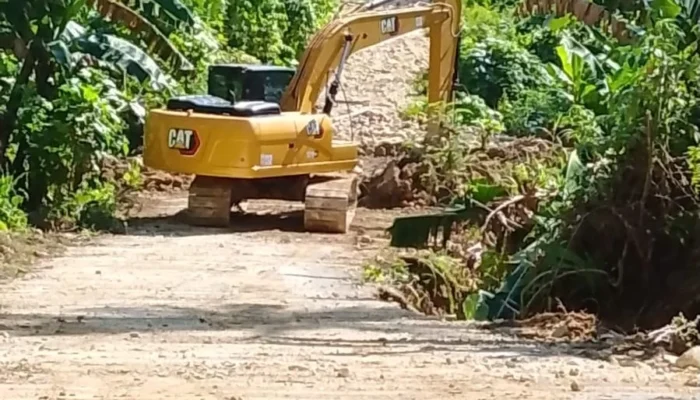 Pemulihan Pascabencana, Akses Darat Loloda Utara Mulai Dibuka Pemda Halut