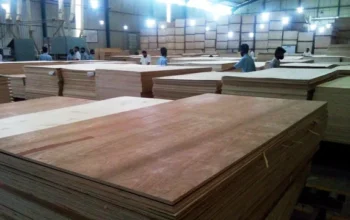 Diduga PT. MTP Tak Terapkan UMP, Pekerja Hanya Terima Gaji Rp200-500/Bulan