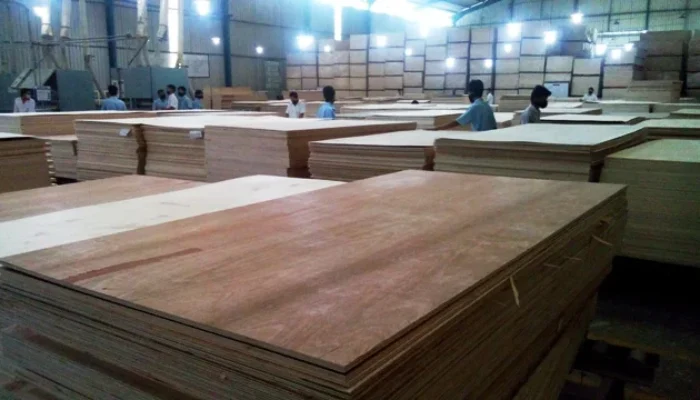 Diduga PT. MTP Tak Terapkan UMP, Pekerja Hanya Terima Gaji Rp200-500/Bulan