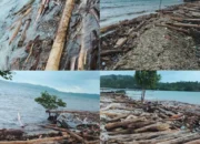 Skandal Limbah di Sula Meledak! DPP IMM Tuduh PT SGM Group Cemari Laut, DLH Dicap ‘Mandul dan Tutup Mata’