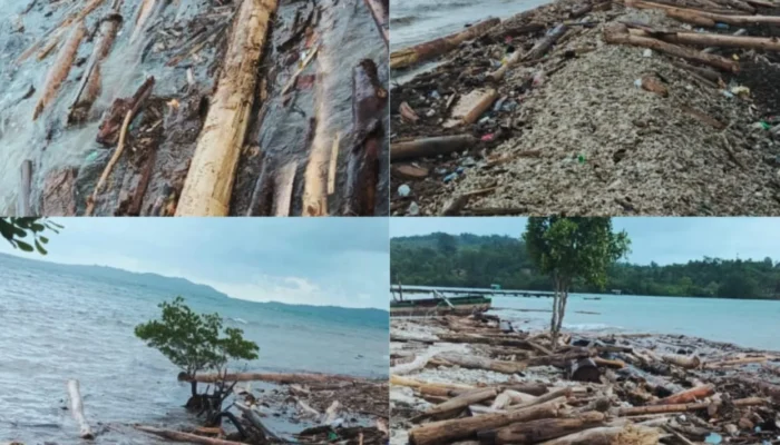 Skandal Limbah di Sula Meledak! DPP IMM Tuduh PT SGM Group Cemari Laut, DLH Dicap ‘Mandul dan Tutup Mata’
