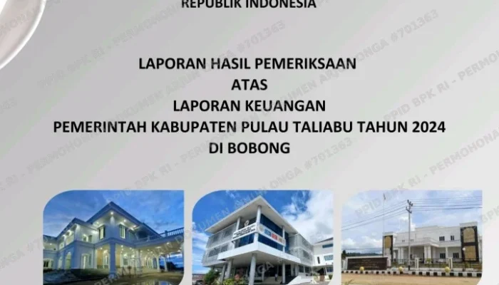 Diam Seribu Bahasa! Temuan BPK Soal Uang Negara di Dinkes Taliabu Belum Dijawab