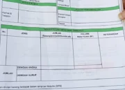 Somel CV Alco di Sorong Selatan Diduga Langgar Ketentuan, Produksi Kayu Disebut Lampaui Kapasitas Izin