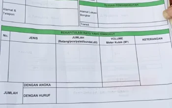 Somel CV Alco di Sorong Selatan Diduga Langgar Ketentuan, Produksi Kayu Disebut Lampaui Kapasitas Izin