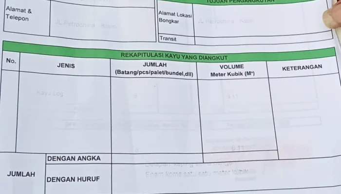 Somel CV Alco di Sorong Selatan Diduga Langgar Ketentuan, Produksi Kayu Disebut Lampaui Kapasitas Izin