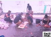 Iduladha 1447 H, Tiga Masjid di Rawamangoli Sembelih 21 Sapi dan 1 Kambing