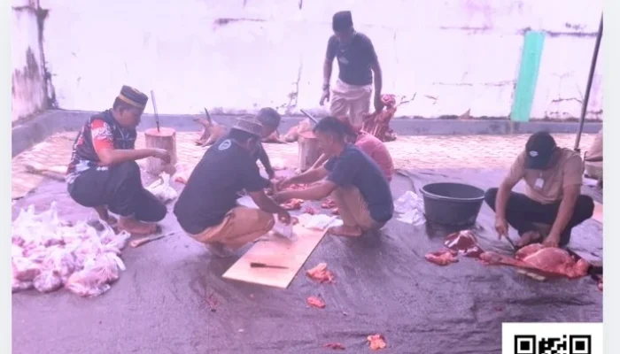 Iduladha 1447 H, Tiga Masjid di Rawamangoli Sembelih 21 Sapi dan 1 Kambing