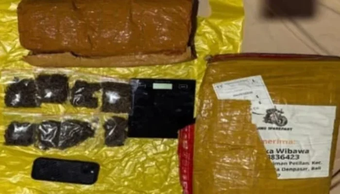 Polda Lampung Bongkar Jaringan Narkoba Medan–Bali, 6 Kilogram Ganja Digagalkan