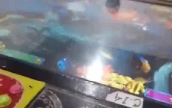Game Judi Tembak Ikan Mulai Aktivitas Kembali, Kenapa Polres Dumai atau Polsek Bukit Kapur Berdiam diri ya, Ada apa?