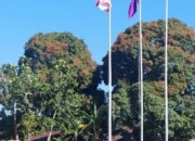 HUT Pramuka ke-65 di Sulabesi Barat Diikuti 578 Peserta, Camat Dorong Pembina Tingkatkan Kualitas