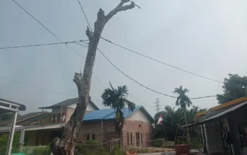 10 Tahun Berjalan Ajukan Permohonan Tiang Listrik, Warga RT 04 Gang Surau Dumai Belum Dapat Jawaban