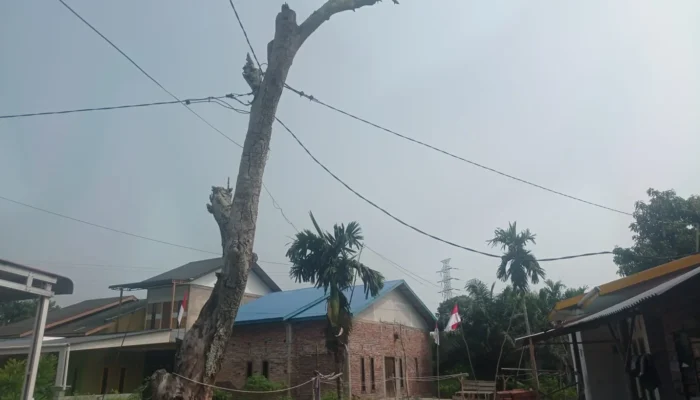 10 Tahun Berjalan Ajukan Permohonan Tiang Listrik, Warga RT 04 Gang Surau Dumai Belum Dapat Jawaban
