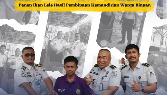 Lapas Narkotika Kelas IIB Rumbai  Dukung Program Ketahanan Pangan Laksanakan Panen Lele