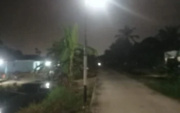Tanpa Bantuan Pemerintah, Warga Rimbun Jaya Patungan Beli 9 Tiang Demi Penerangan
