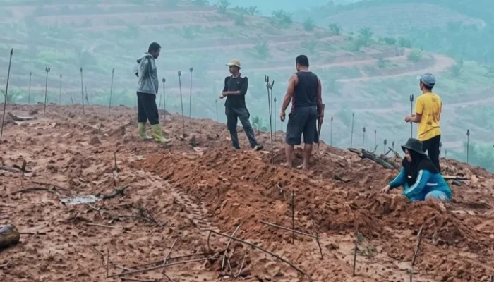 KPH Sula Sebut Masih Dikaji, IMM Desak APH Bergerak: Jangan Tunggu Hutan Rusak