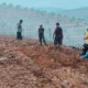 KPH Sula Sebut Masih Dikaji, IMM Desak APH Bergerak: Jangan Tunggu Hutan Rusak