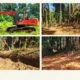 Gunduli Hutan Lindung, HPMS Polisikan Bupati Kepulauan Sula